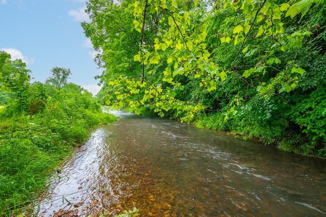 127 Trout Farm Rd, Rural Retreat, VA 24368 - photo 55