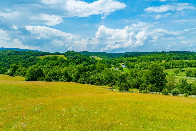 127 Trout Farm Rd, Rural Retreat, VA 24368 - photo 70