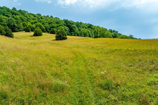 127 Trout Farm Rd, Rural Retreat, VA 24368 - photo 68