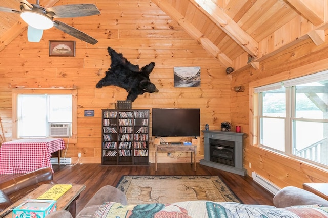 127 Trout Farm Rd, Rural Retreat, VA 24368 - photo 15