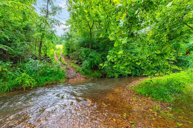 127 Trout Farm Rd, Rural Retreat, VA 24368 - photo 64
