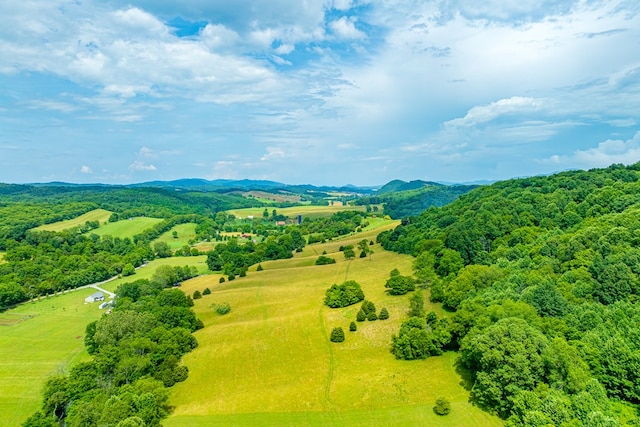 127 Trout Farm Rd, Rural Retreat, VA 24368 - photo 82