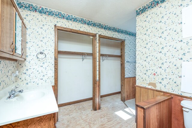 324 Mill Creek Rd, Chilhowie, VA 24319 - bathroom with a wainscoted wall, wallpapered walls, toilet, vanity, and a walk in closet