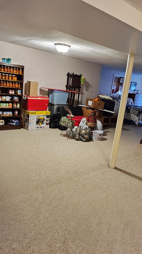 finished below grade area with carpet flooring
