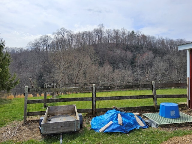 view of yard featuring fence, a rural view, and a forest view