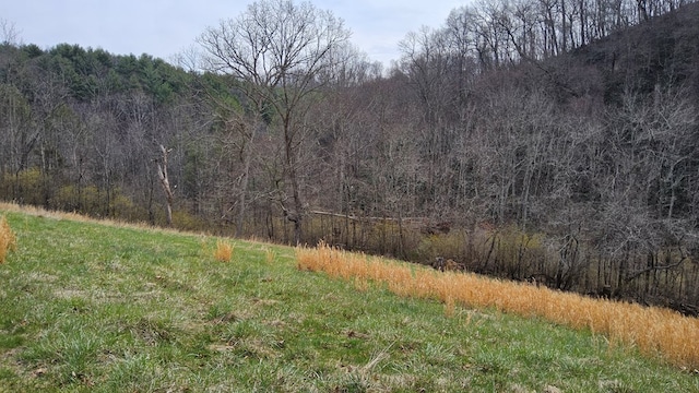 view of nature featuring a view of trees