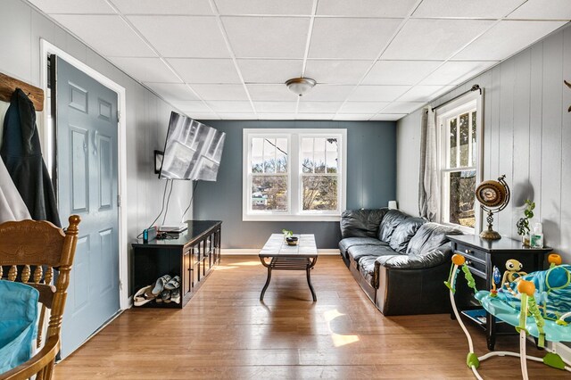 living room with a drop ceiling, a healthy amount of sunlight, and wood finished floors