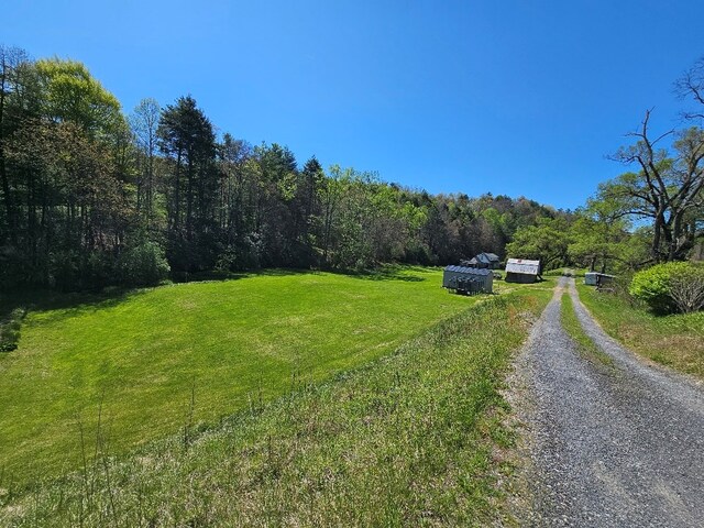 77 Boags Branch Ln, Fries, VA 24330 - photo 25