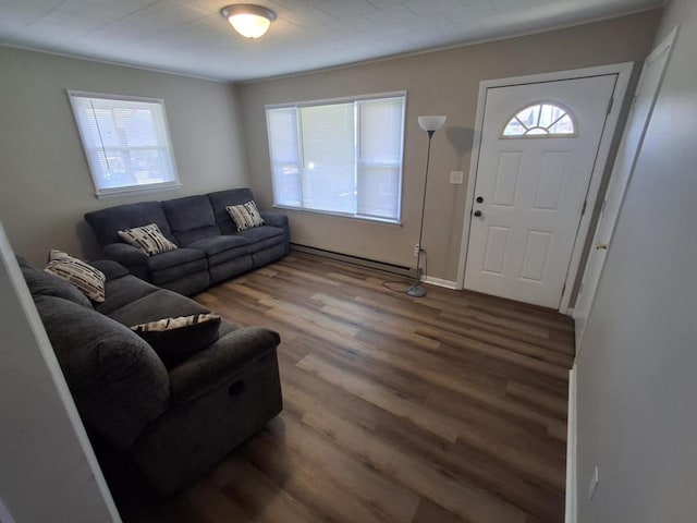 living room featuring a healthy amount of sunlight, a baseboard radiator, wood finished floors, and crown molding