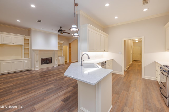 130 Covey Run, Madison, MS 39110 - kitchen featuring appliances with stainless steel finishes, ceiling fan, a peninsula, white cabinetry, and dark wood-style flooring