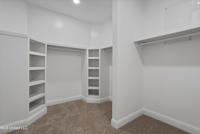 walk in closet featuring carpet floors