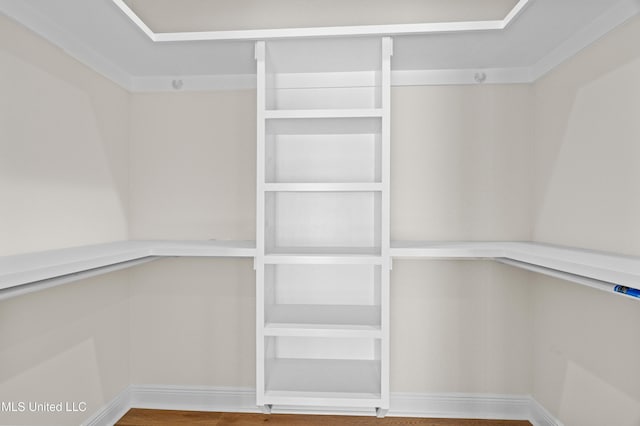 walk in closet featuring hardwood / wood-style floors