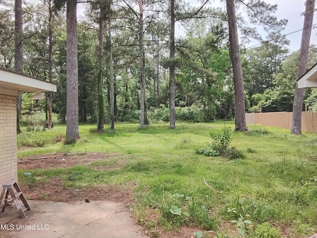 807 Line Dr, Forest, MS 39074 - view of yard