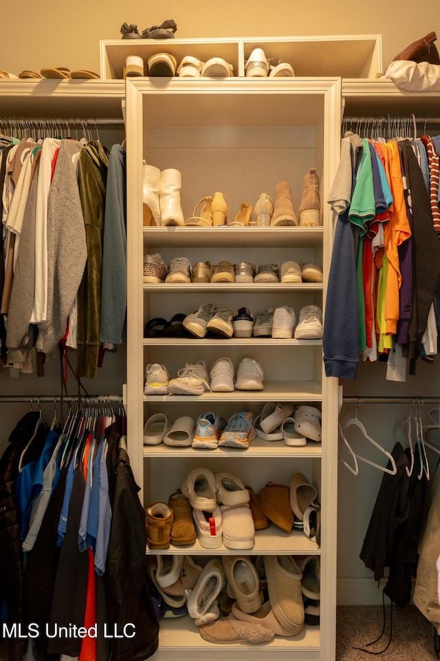 view of closet