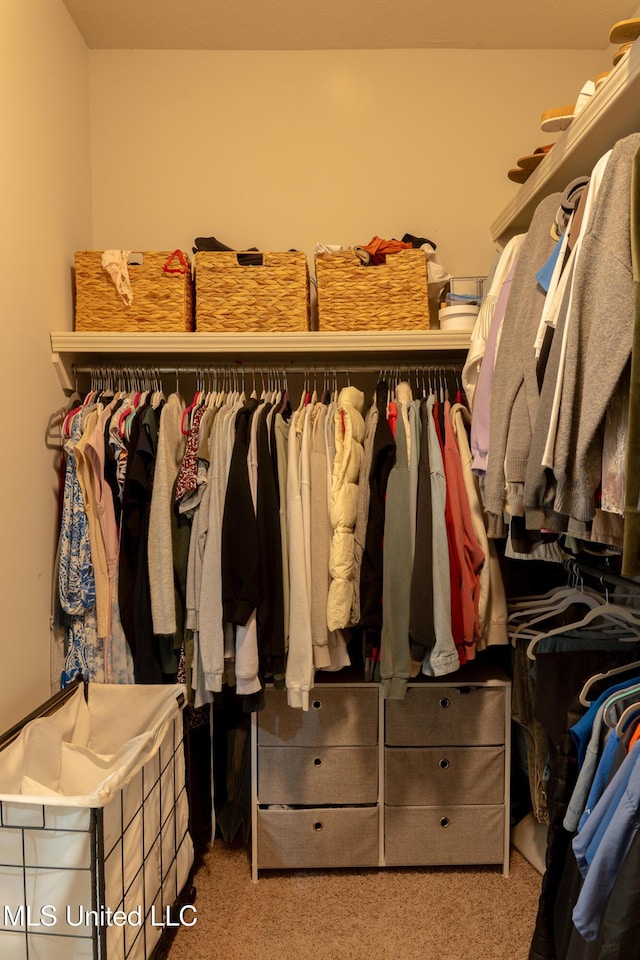 spacious closet with light carpet