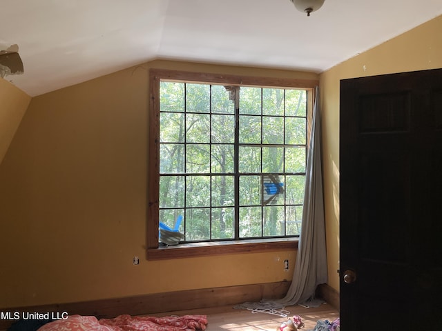 interior space with vaulted ceiling