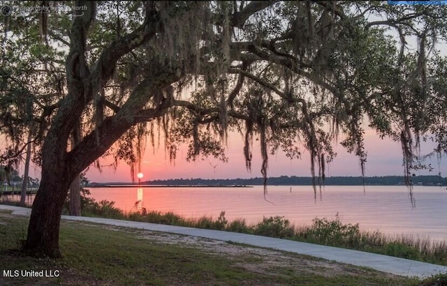 property view of water