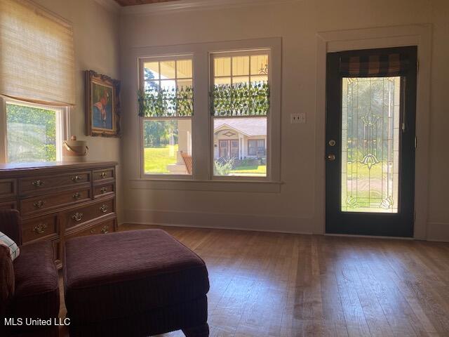 living area with wood-type flooring and ornamental molding