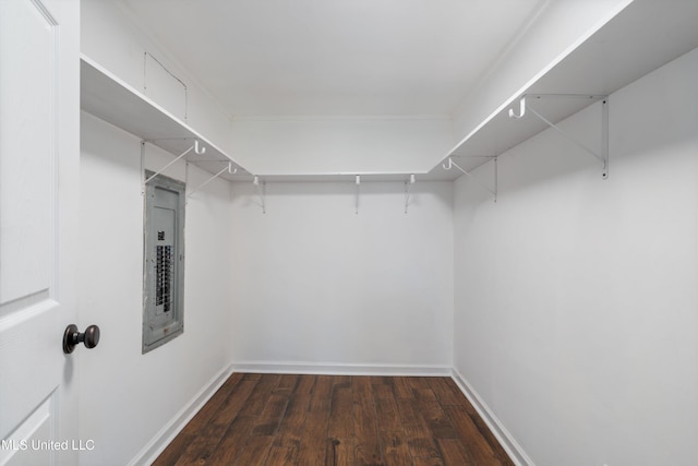walk in closet with wood finished floors and electric panel