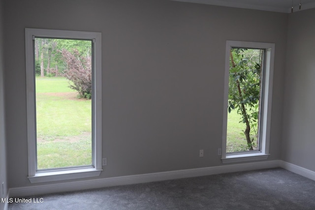 carpeted spare room with healthy amount of natural light and baseboards