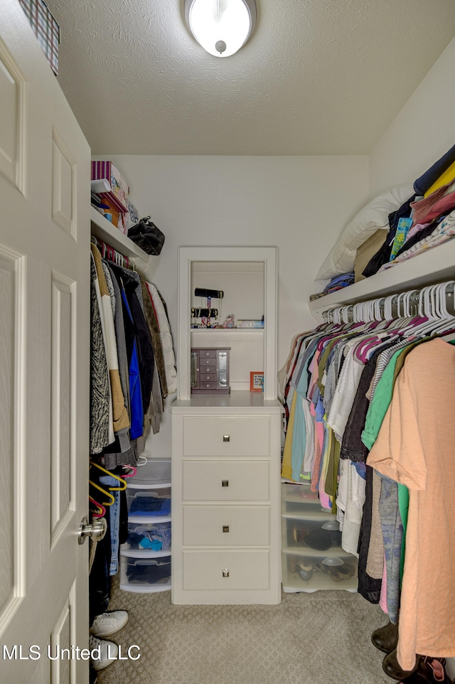 walk in closet with carpet flooring