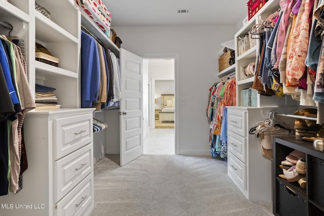 254 Buttonwood Ln, Canton, MS 39046 - walk in closet with light carpet