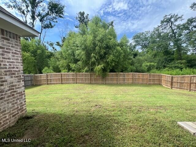 254 Buttonwood Ln, Canton, MS 39046 - view of fenced backyard