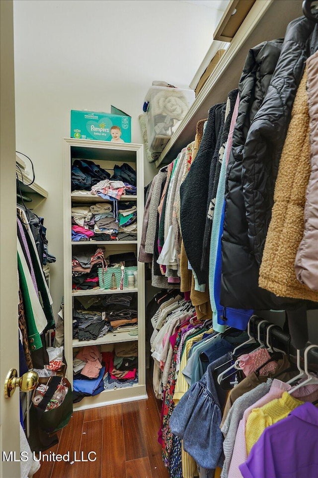 spacious closet with wood finished floors