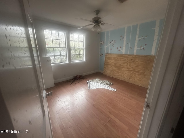 unfurnished room with ceiling fan and light hardwood / wood-style floors