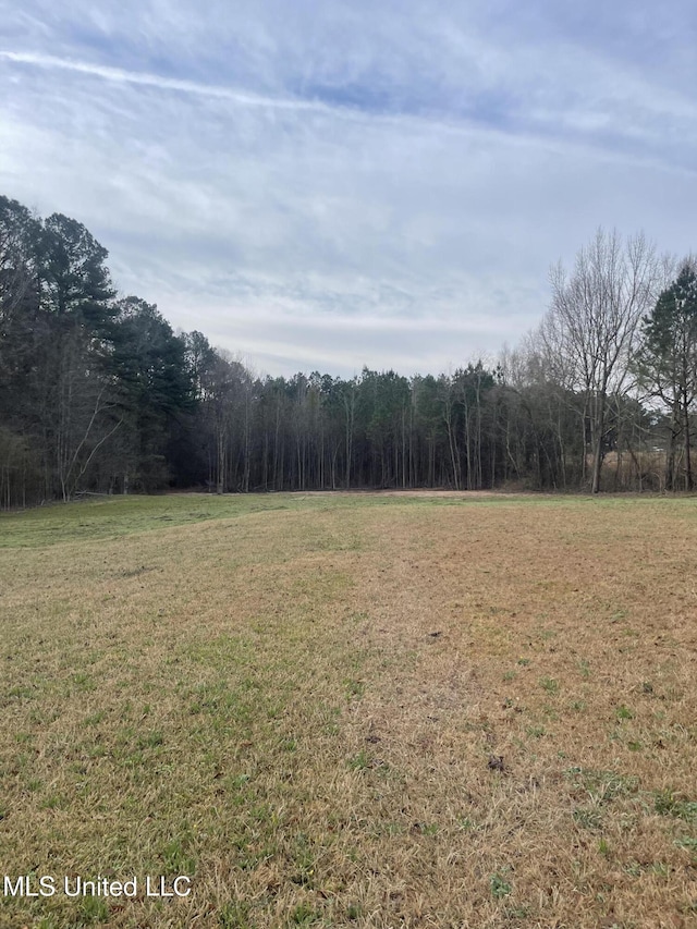 Listing photo 2 for 0 Barefoot Springs Rd, Pelahatchie MS 39145