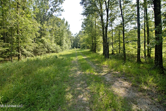 view of local wilderness