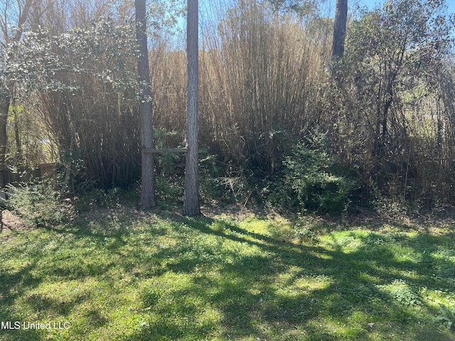 view of local wilderness featuring a forest view