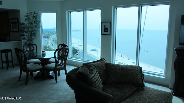 living room featuring a water view, plenty of natural light, and light colored carpet