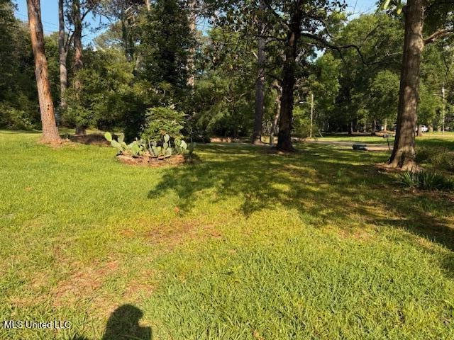 538 Will O Wisp Way, Jackson, MS 39204 - view of grassy yard