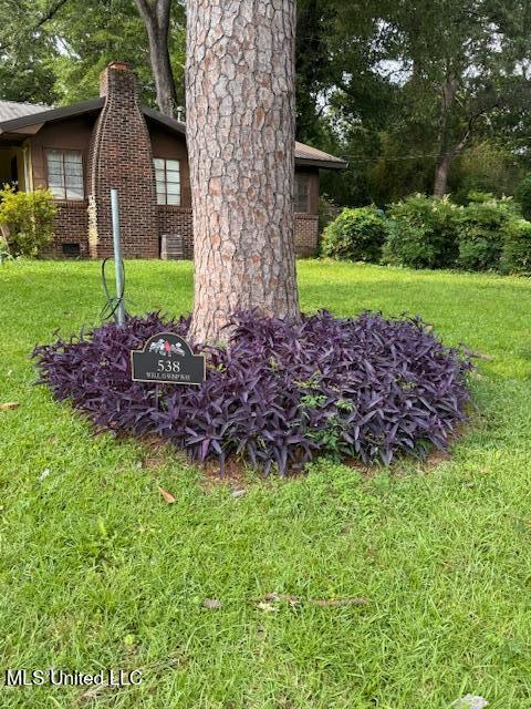538 Will O Wisp Way, Jackson, MS 39204 - view of grassy yard