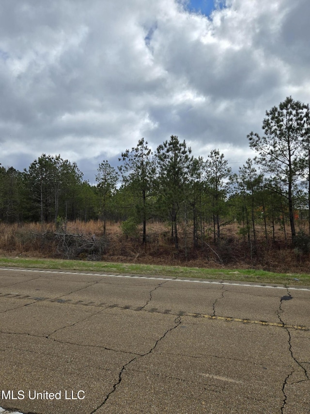 Pine Meadows Dr, Crystal Springs MS, 39059 land for sale