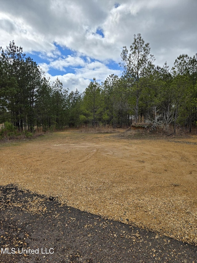 Listing photo 2 for Pine Meadows Dr, Crystal Springs MS 39059