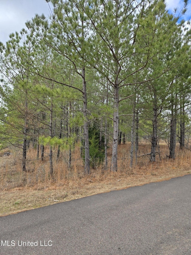 Listing photo 3 for Pine Meadows Dr, Crystal Springs MS 39059