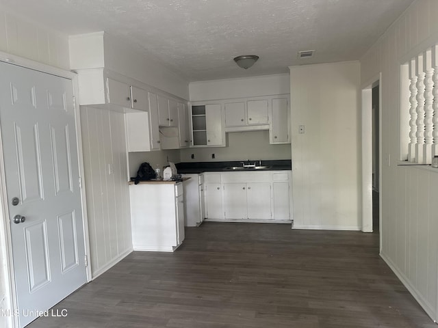 2806 Tara Rd, Jackson, MS 39212 - kitchen featuring dark wood finished floors, a sink, white cabinetry, dark countertops, and baseboards