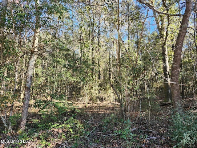 NHN Hoda Rd, Kiln, MS 39556
