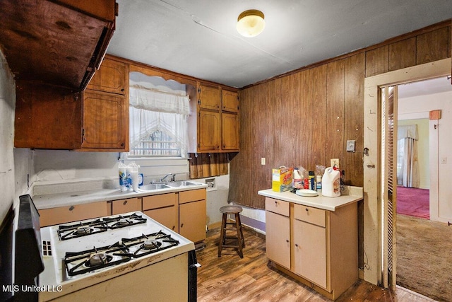 518 W Ash St, Jackson, MS 39203 - kitchen featuring white gas range oven, a sink, light wood-style flooring, light countertops, and wooden walls