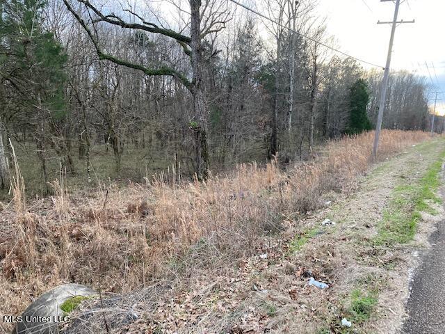 000 Magnolia Rd, Clinton MS, 39056 land for sale