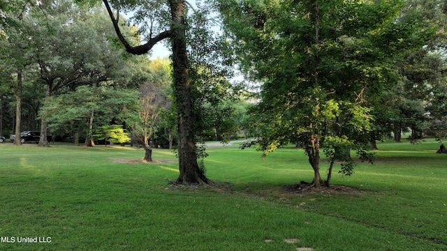 view of property's community with a lawn