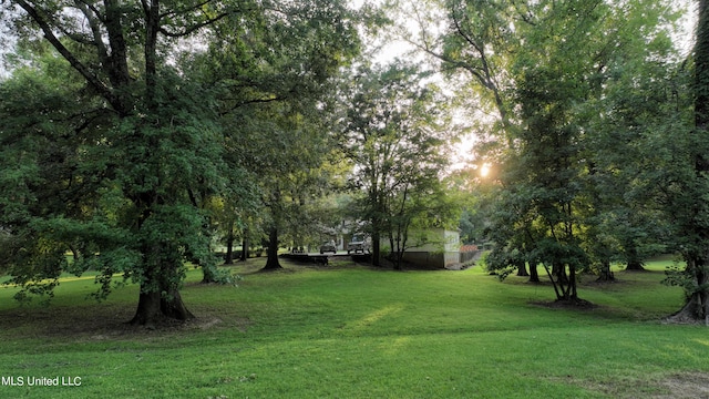 view of yard