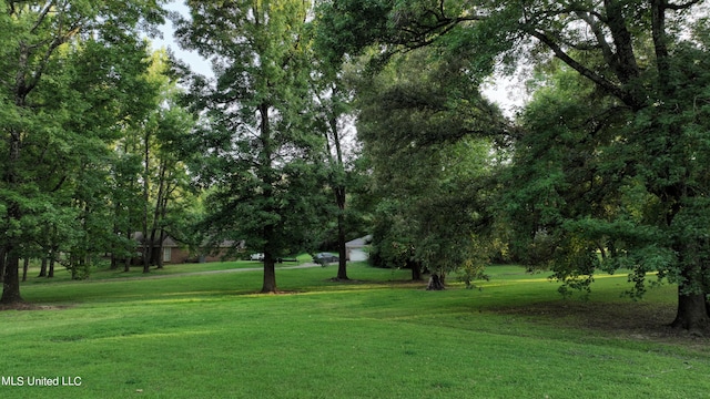 surrounding community featuring a yard