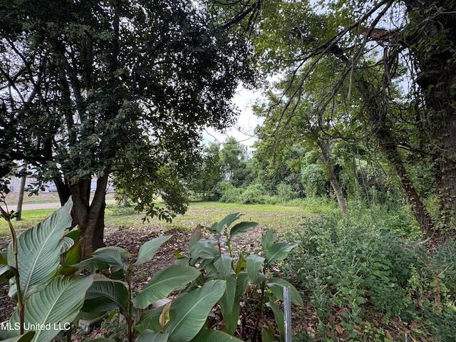 view of landscape