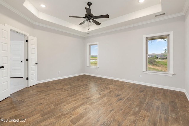 unfurnished room featuring a tray ceiling, dark wood-type flooring, and plenty of natural light