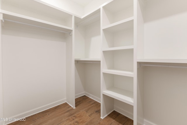 walk in closet featuring hardwood / wood-style flooring