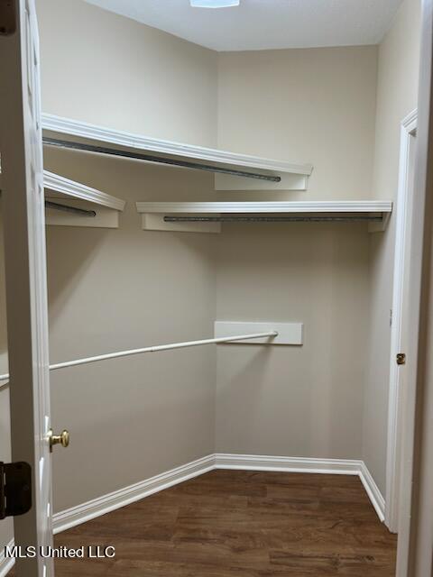 spacious closet with dark hardwood / wood-style floors