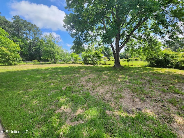 9108 Moser Ave, Vancleave, MS 39565 - view of yard